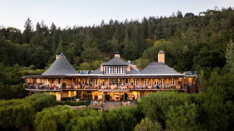 Luxury Vineyard Boutique Hotels USA: A Guide to Estate Hospitality
